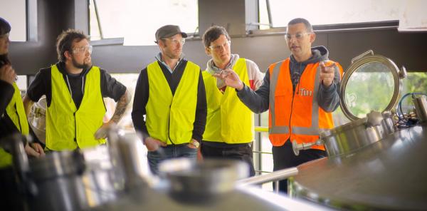 Tui Brewery Tours & Tasting