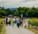 Toast Martinborough 2025